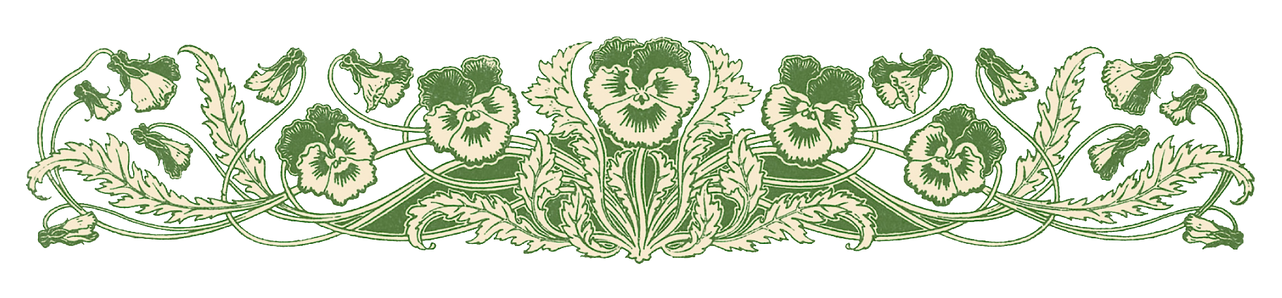 Vintage pansy illustration divider from https://digital.staatsbibliothek-berlin.de/werkansicht/?PPN=PPN1776316045.
