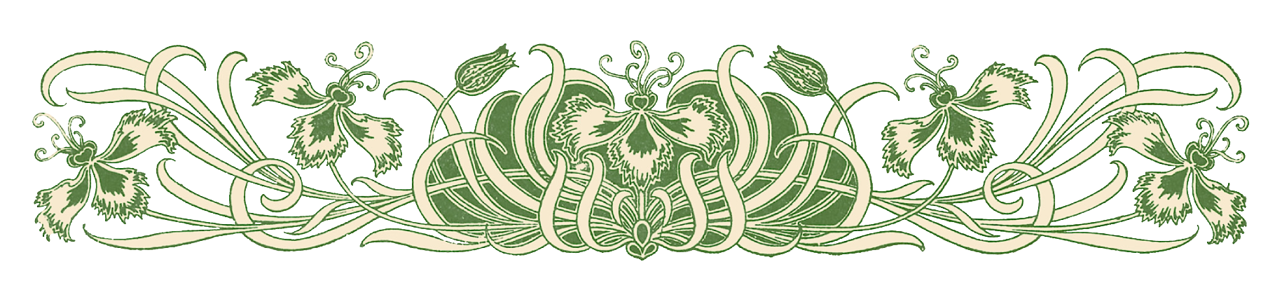 Vintage pansy illustration divider from https://digital.staatsbibliothek-berlin.de/werkansicht/?PPN=PPN1776316045.